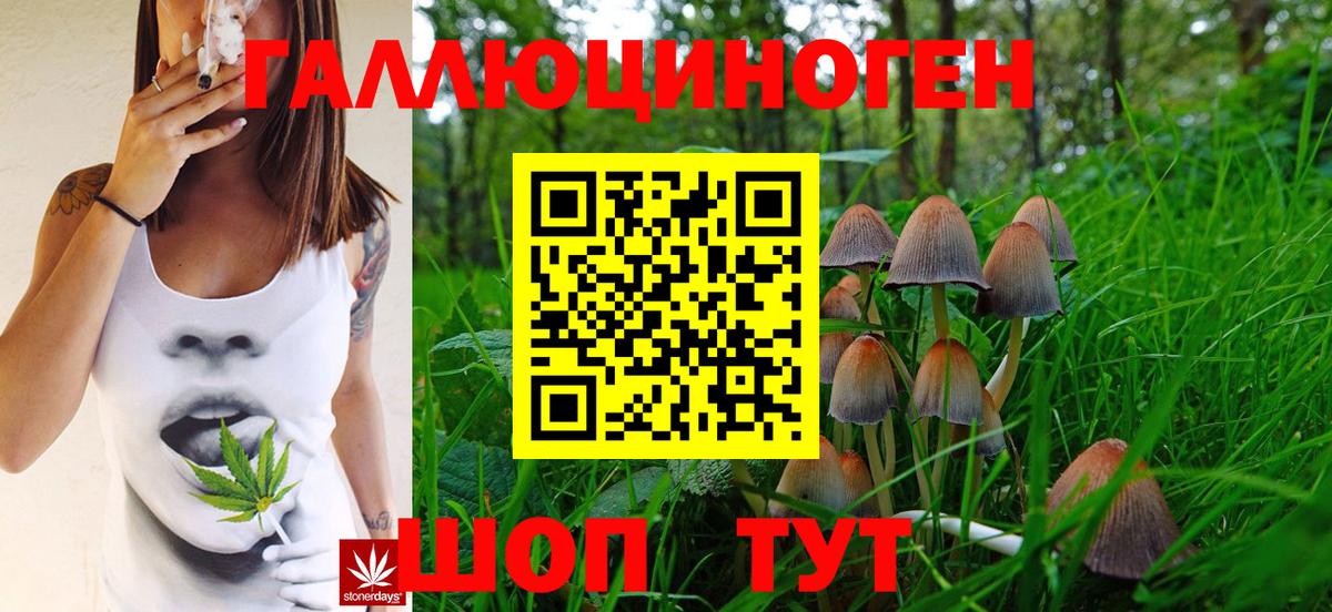 Галлюциногенные грибы Psilocybine cubensis  Вход с VPN  Кыштым 